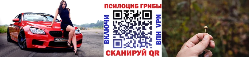 Галлюциногенные грибы Psilocybe  Мелеуз 
